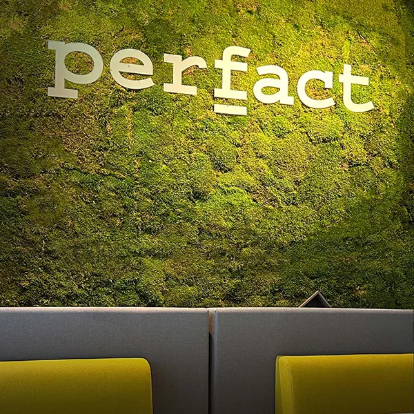 Perfact Group Munstergeleen